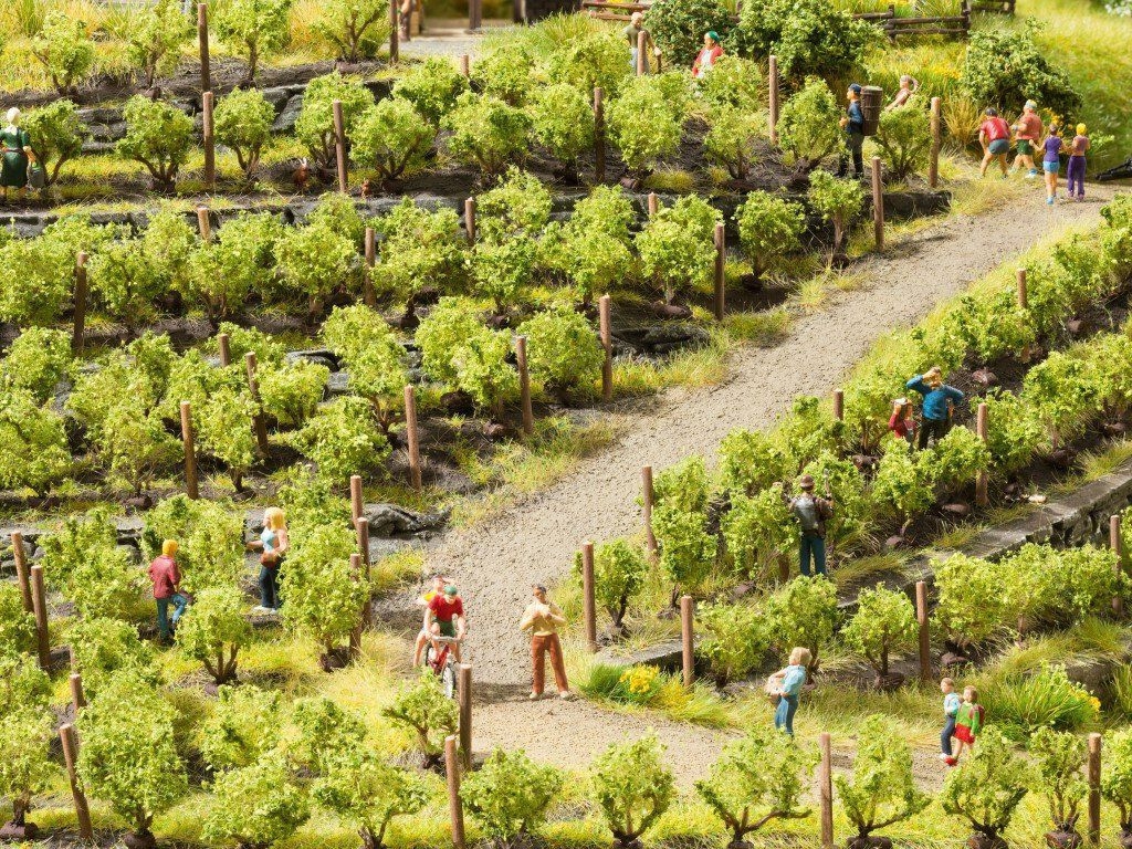 NOCH 21545 - Weinreben