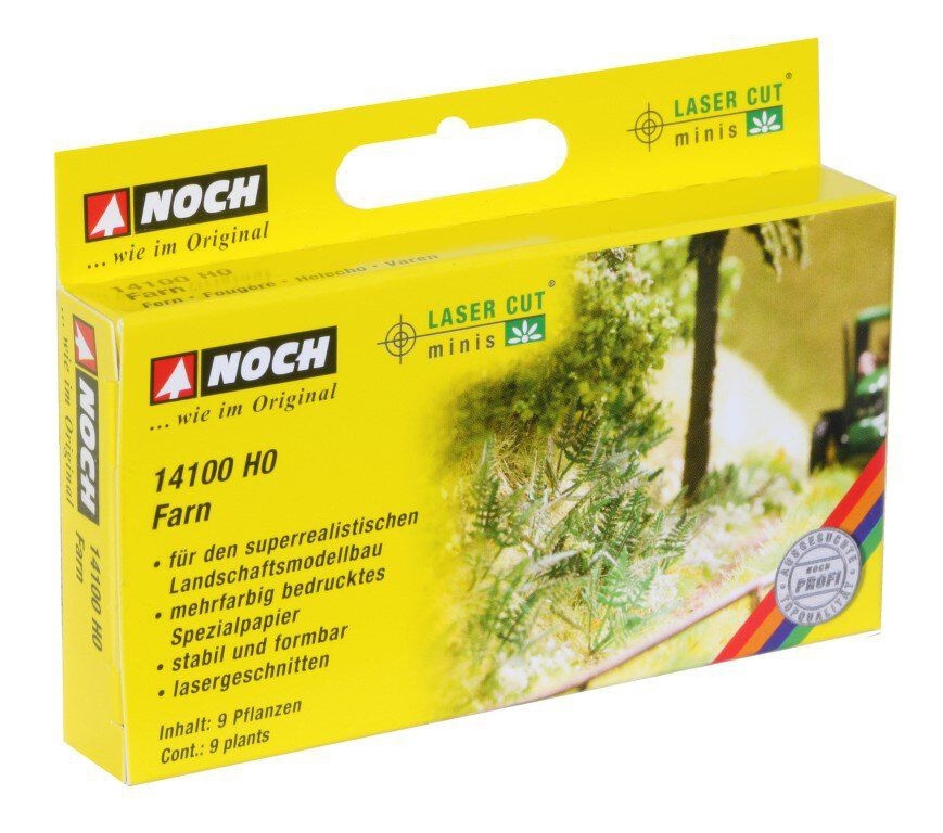 NOCH 14100 - Farn
