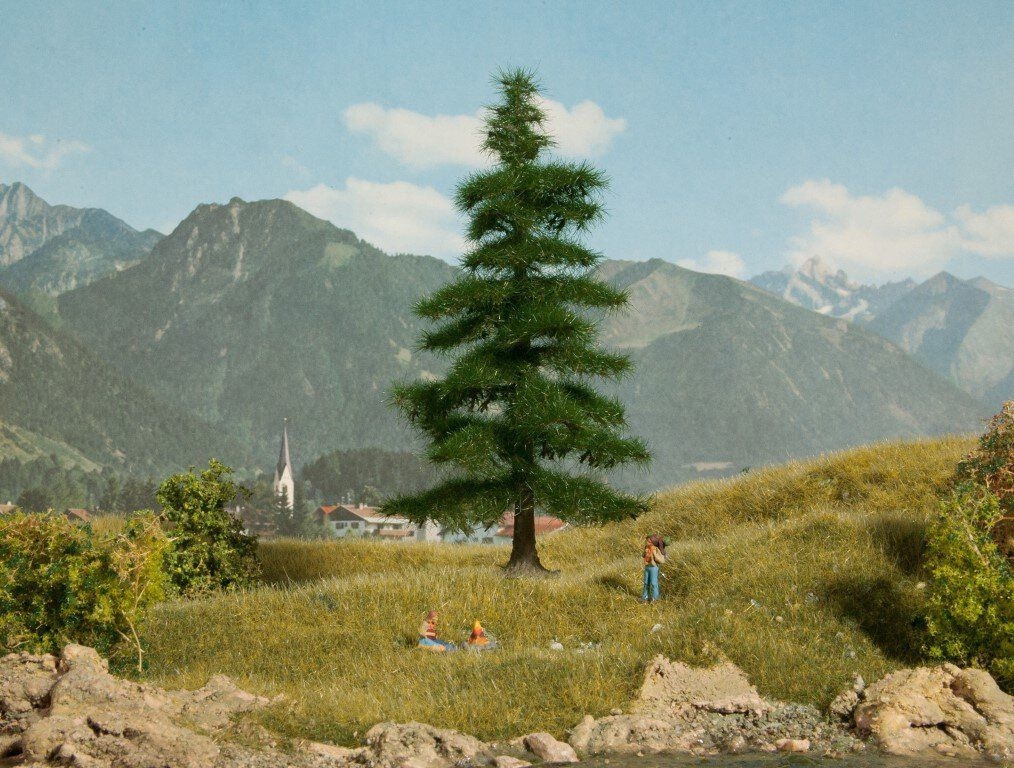 NOCH 21811 - Nordmanntanne