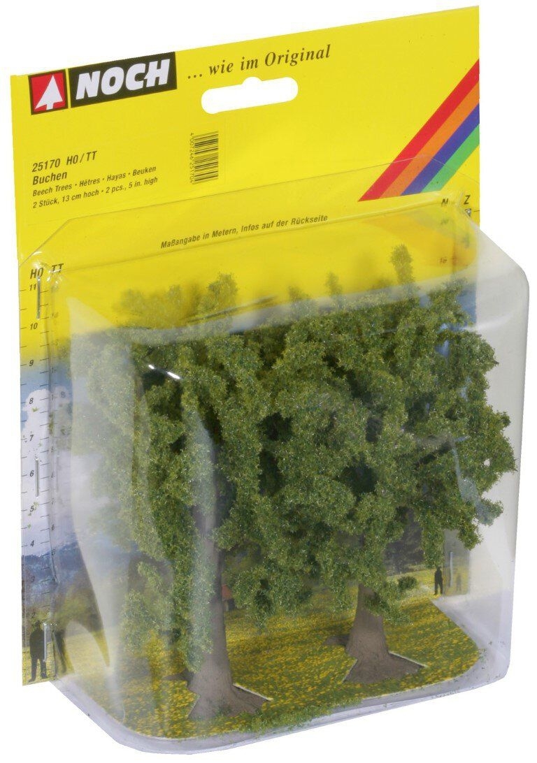 NOCH 25170 - Buchen