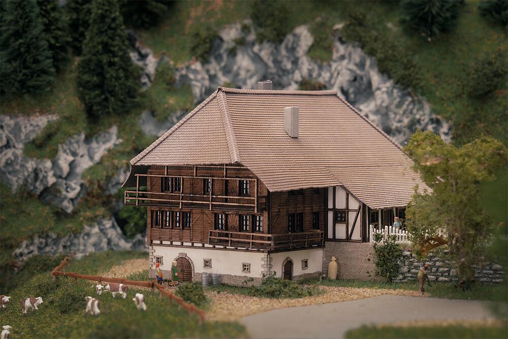 Faller 282784 - Jubiläumsmodell Schwarzwaldho